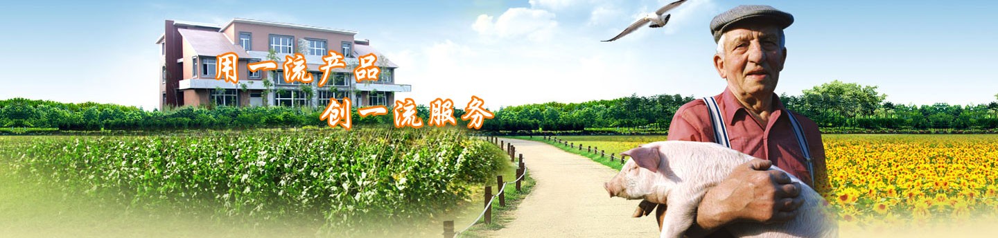 开云app官网入口